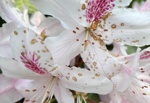 23-06-03 16-36-06 5785